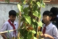 Học sinh trường Trí Tuệ Việt trải nghiệm tiết học thực tế tại vườn trường